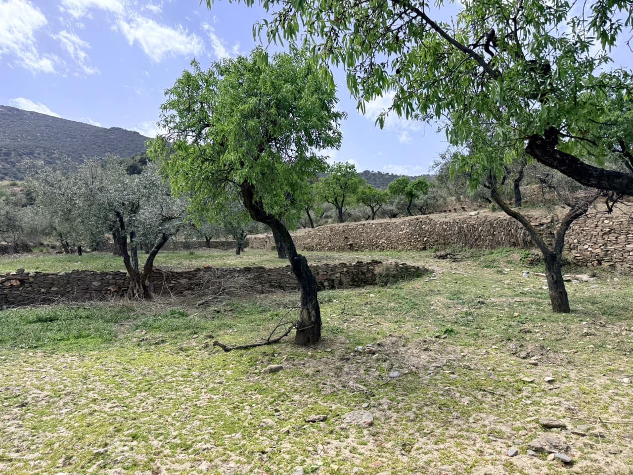 Finca/Country House for sale in Las Tres Villas - € 8,000,000 (Ref: 10007613)