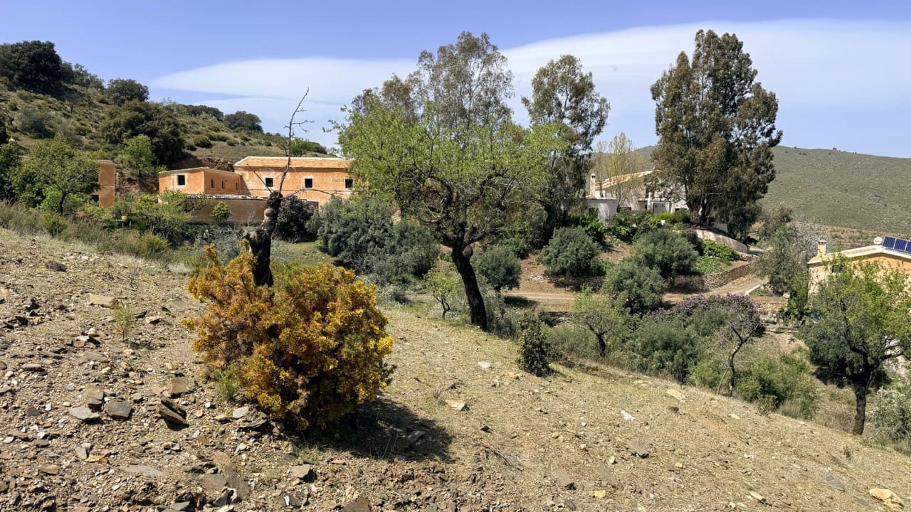 Finca/Country House for sale in Las Tres Villas - € 8,000,000 (Ref: 10007613)