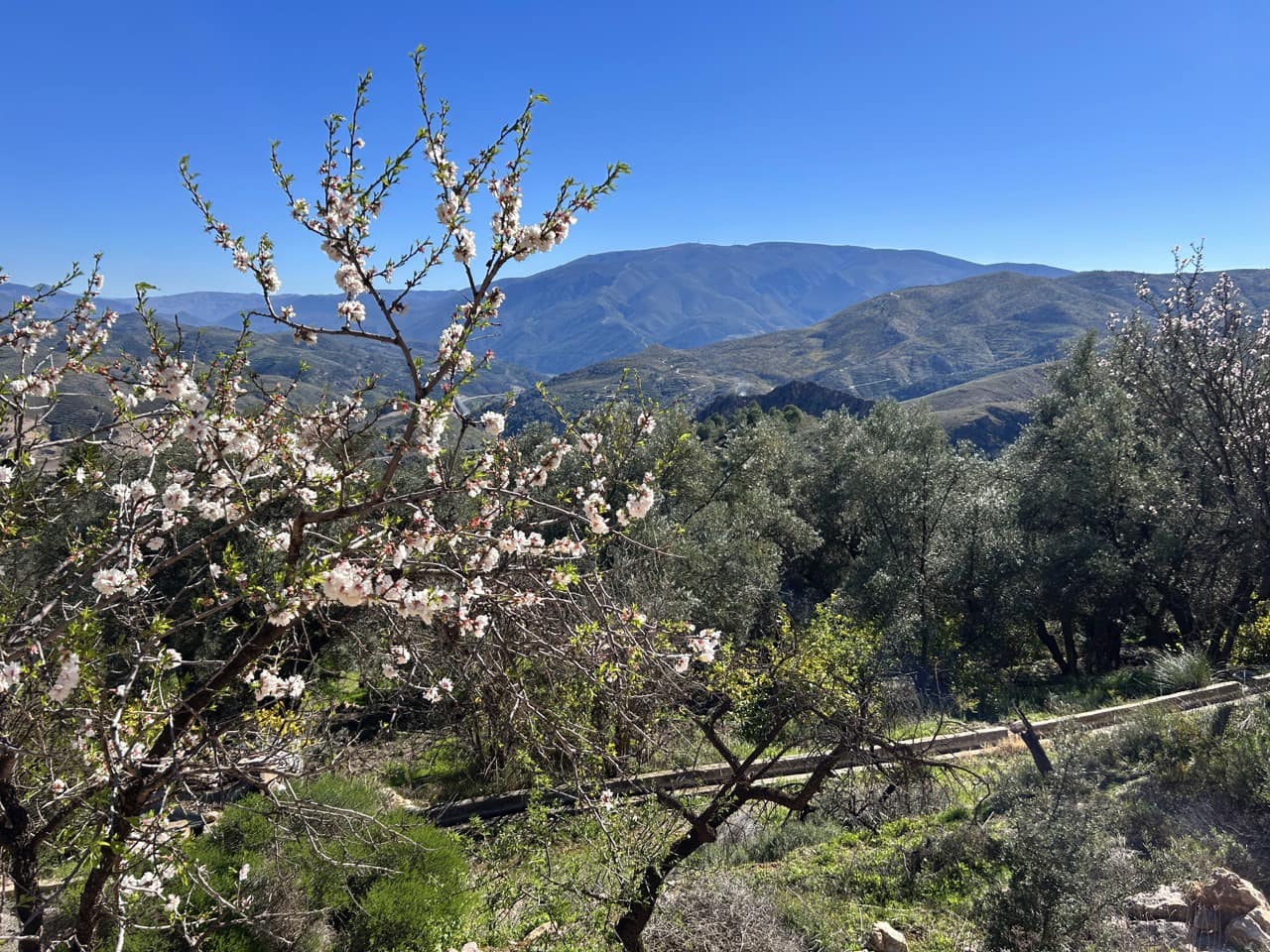 3 chambre Finca/Maison de Campagne à vendre à El Pinar avec garage - 125 000 € (Ref: 10007863)