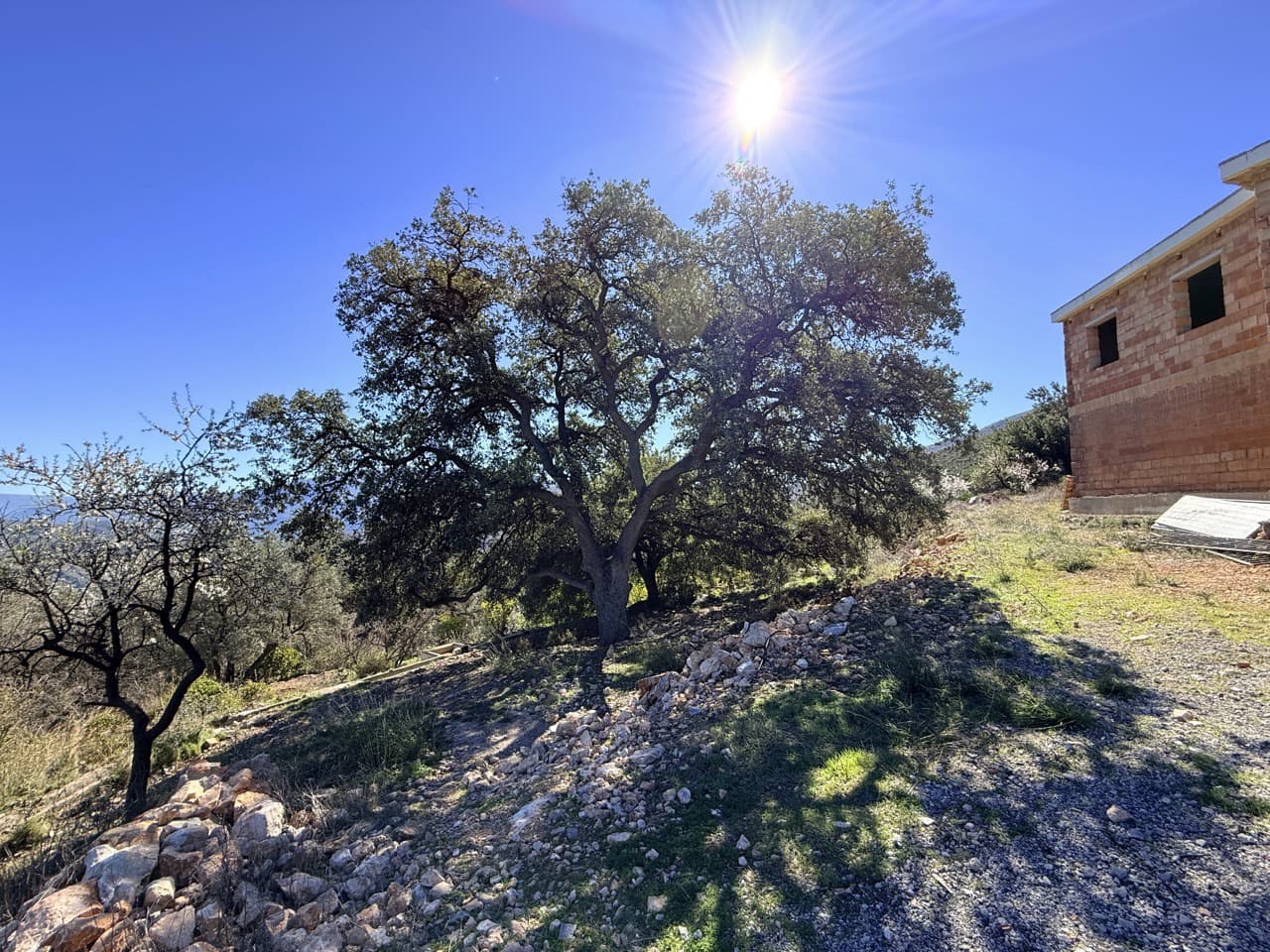 3 chambre Finca/Maison de Campagne à vendre à El Pinar avec garage - 125 000 € (Ref: 10007863)