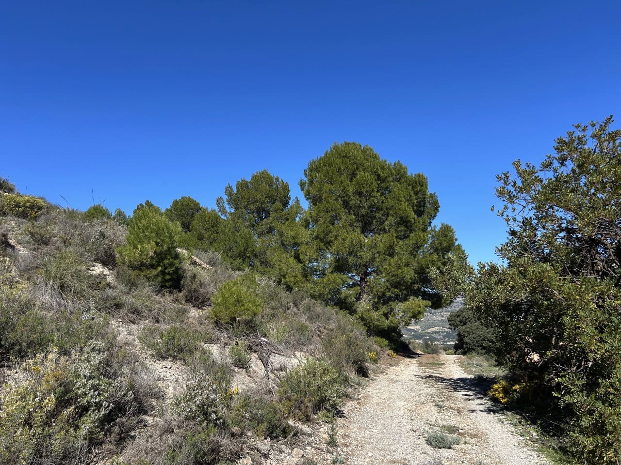 3 chambre Finca/Maison de Campagne à vendre à El Pinar avec garage - 125 000 € (Ref: 10007863)