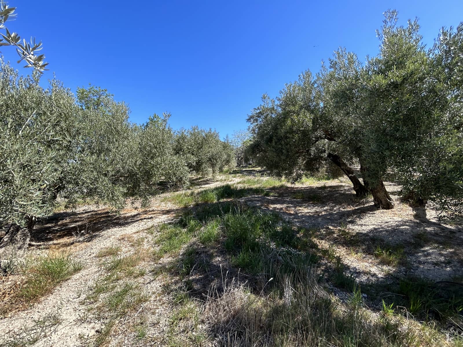 2 sovrum Finca/Hus på landet till salu i Moclin med garage - 77 000 € (Ref: 10007997)