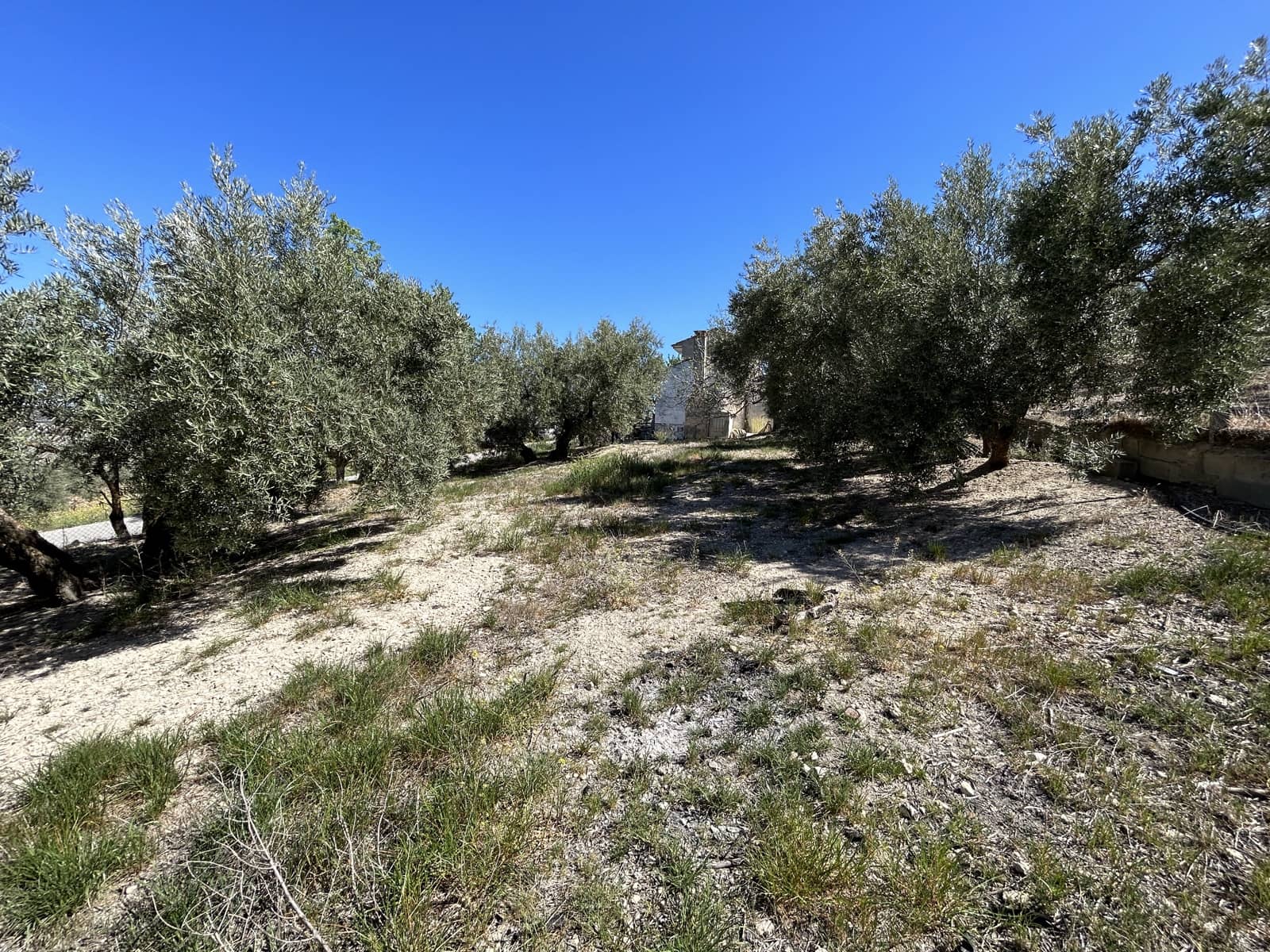 2 sovrum Finca/Hus på landet till salu i Moclin med garage - 77 000 € (Ref: 10007997)