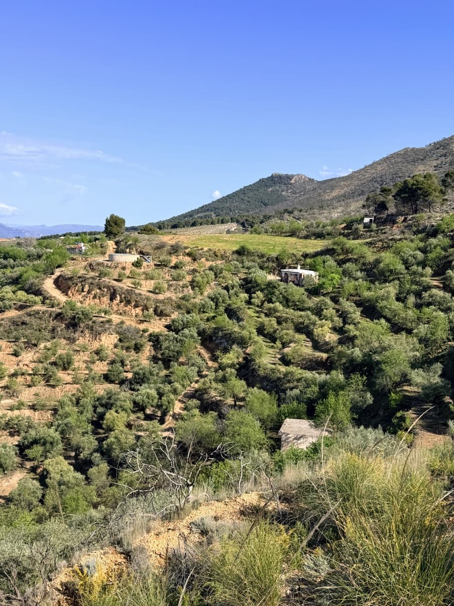 Finca/Maison de Campagne à vendre à El Valle - 80 000 € (Ref: 10008060)