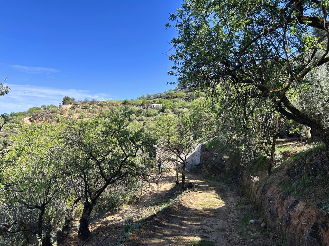 Finca/Maison de Campagne à vendre à El Valle - 80 000 € (Ref: 10008060)