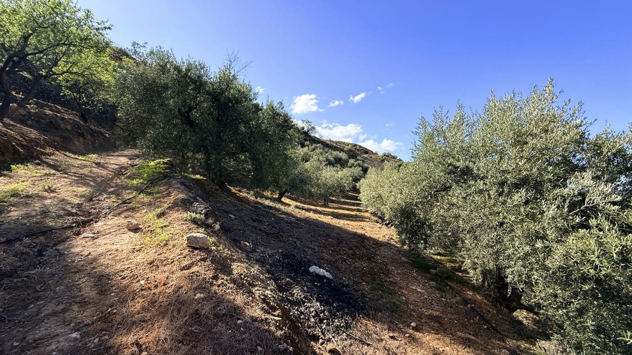 Finca/Maison de Campagne à vendre à El Valle - 80 000 € (Ref: 10008060)