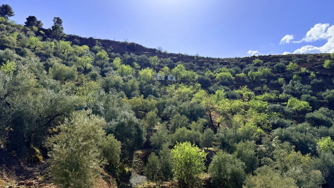Finca/Maison de Campagne à vendre à El Valle - 80 000 € (Ref: 10008060)