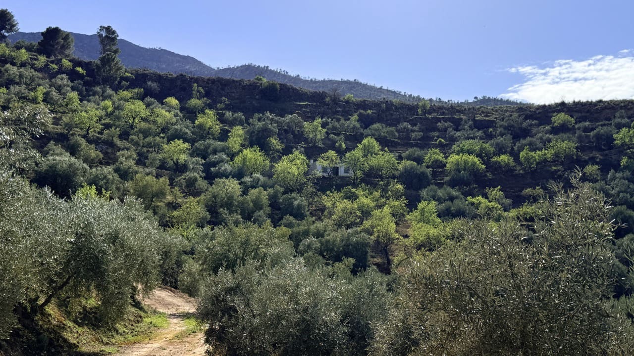 Finca/Maison de Campagne à vendre à El Valle - 80 000 € (Ref: 10008060)
