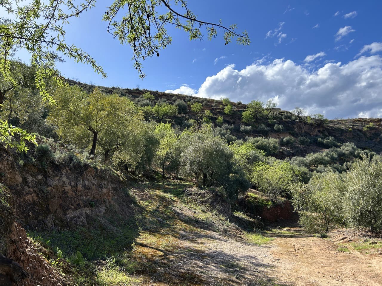 Finca/Maison de Campagne à vendre à El Valle - 80 000 € (Ref: 10008060)