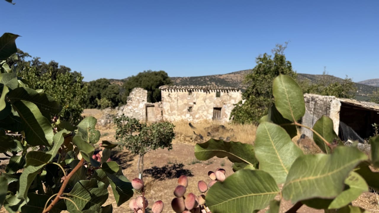 Finca/Hus på landet till salu i Montefrio med garage - 275 000 € (Ref: 10110204)