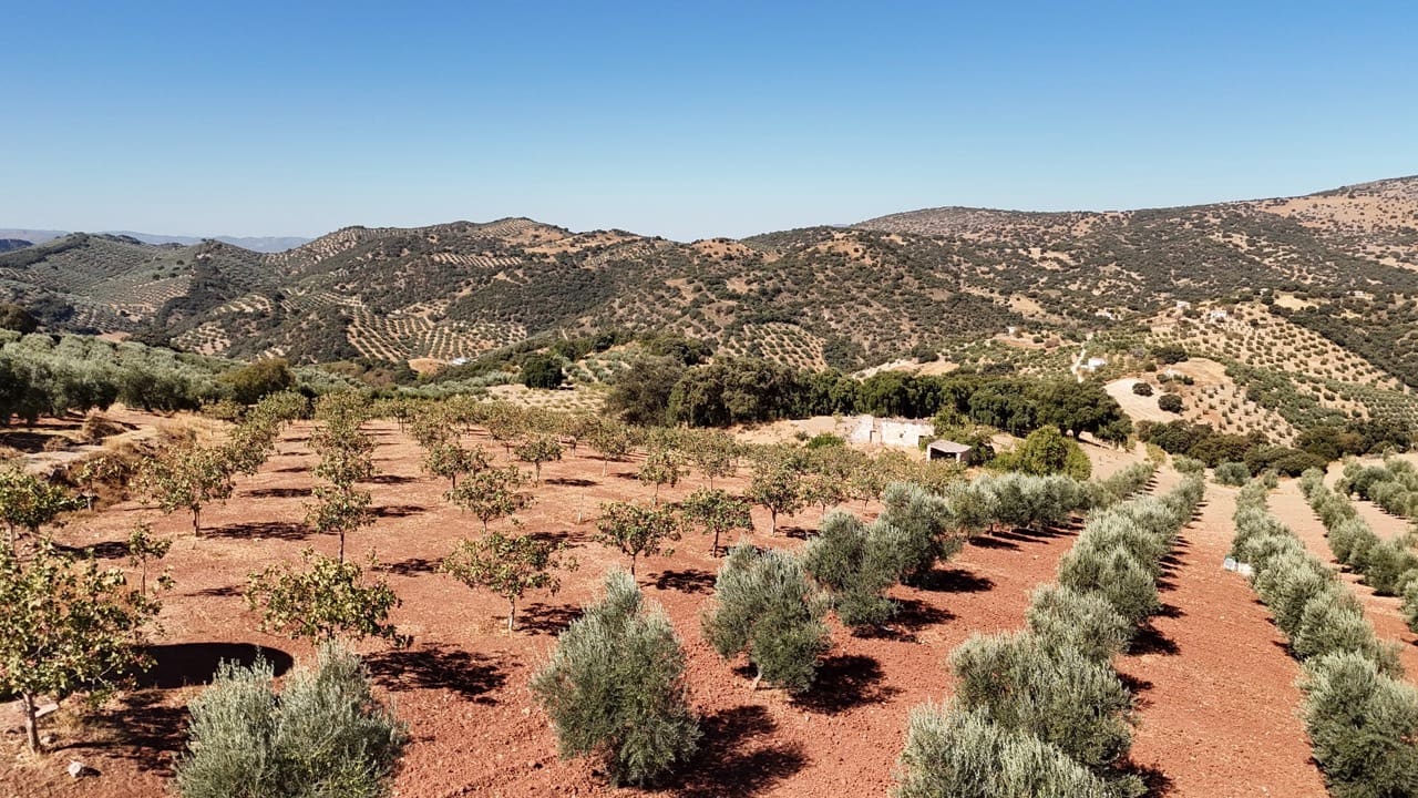 Finca/Hus på landet till salu i Montefrio med garage - 275 000 € (Ref: 10110204)