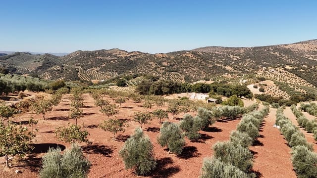 Finca/Hus på landet till salu i Montefrío med garage - 275 000 € (Ref: 10110204)
