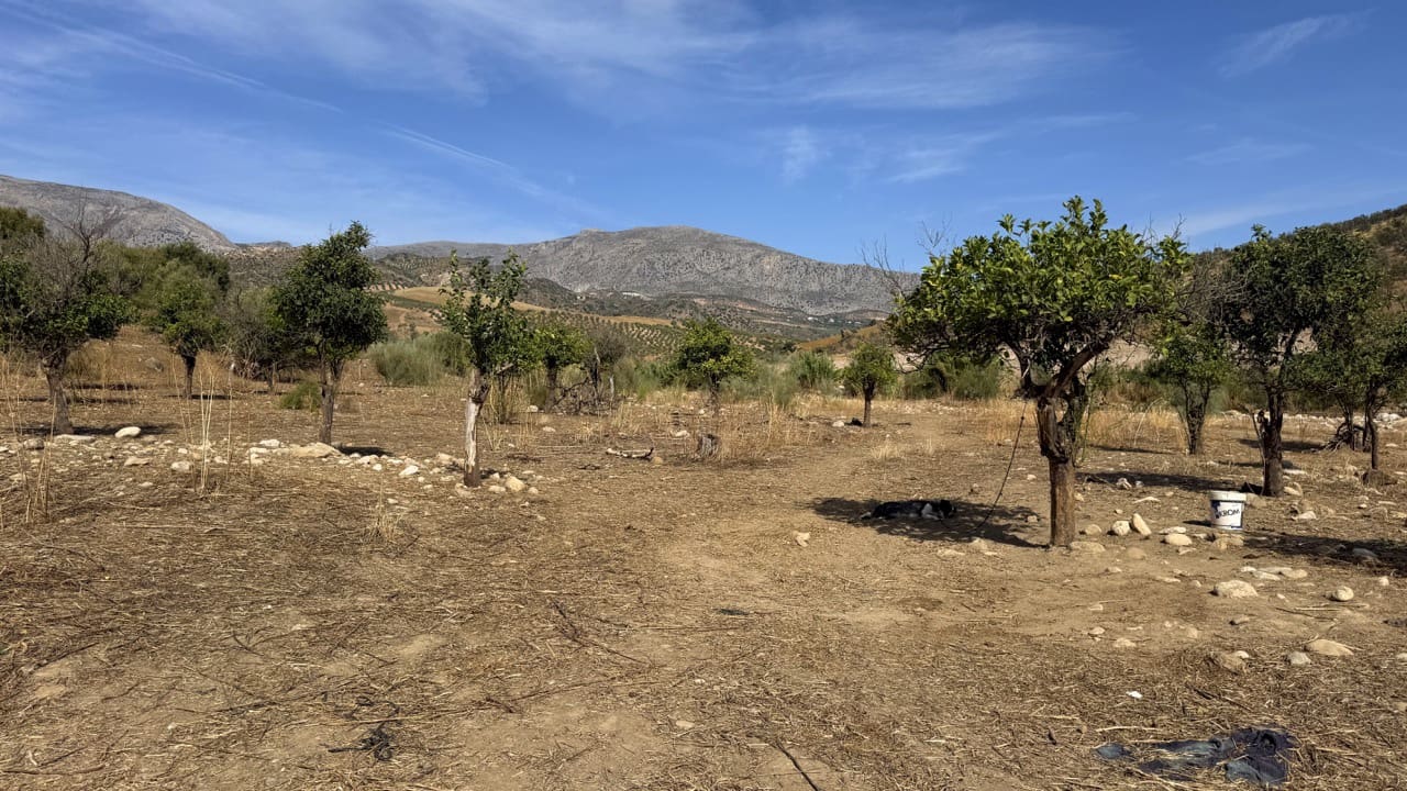 Finca/Herregård til salgs i Alora - € 895 000 (Ref: 10171718)