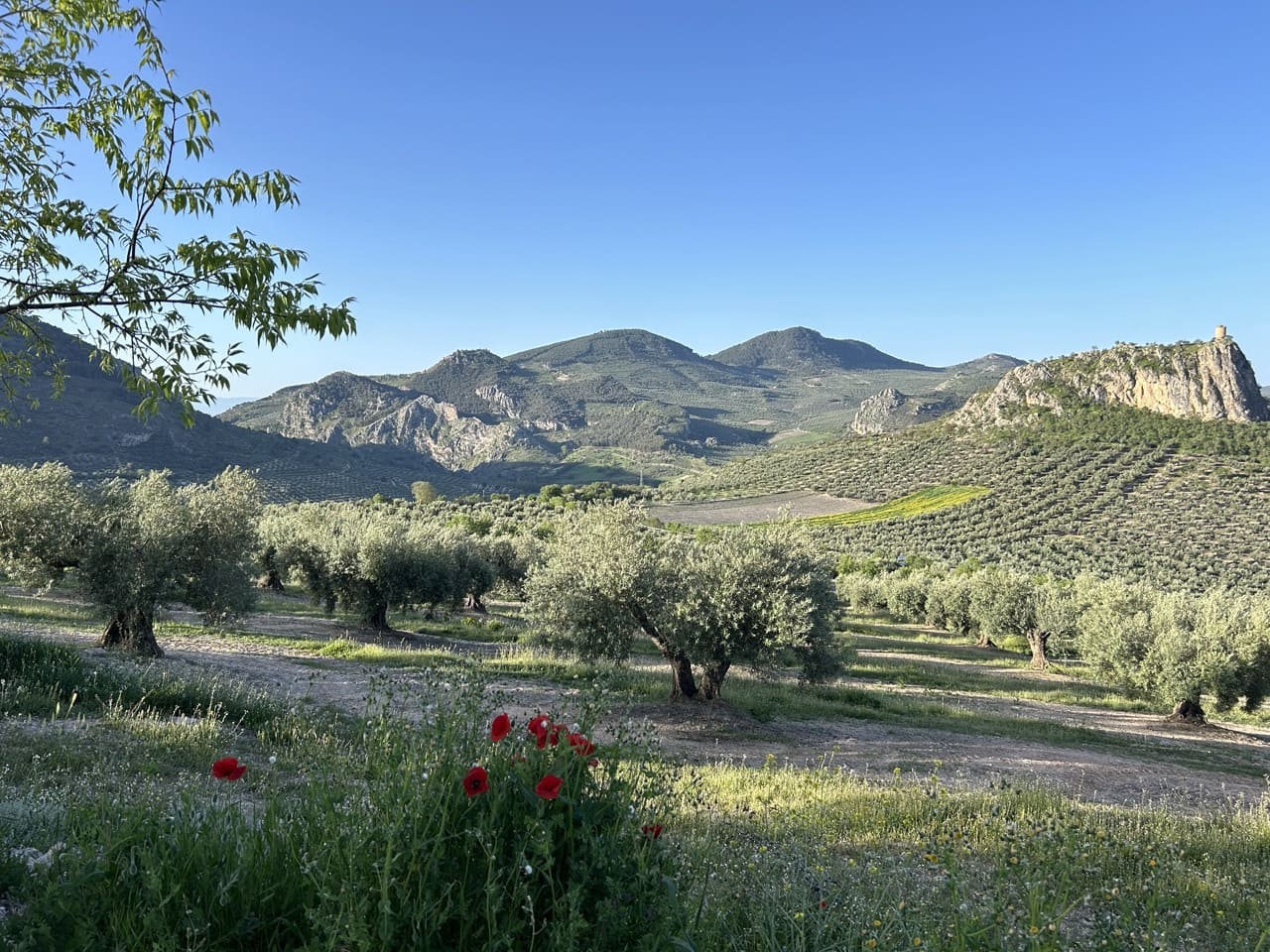 Finca/Country House for sale in Moclin with pool garage - € 5,000,000 (Ref: 8257978)