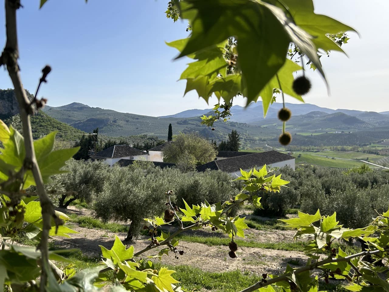 Finca/Country House for sale in Moclin with pool garage - € 5,000,000 (Ref: 8257978)