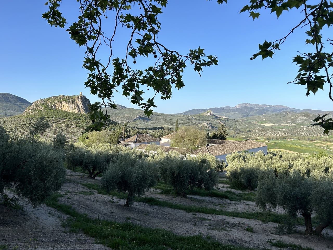 Finca/Country House for sale in Moclin with pool garage - € 5,000,000 (Ref: 8257978)