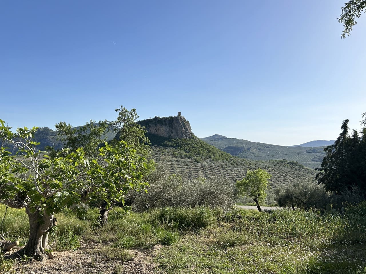 Finca/Country House for sale in Moclin with pool garage - € 5,000,000 (Ref: 8257978)