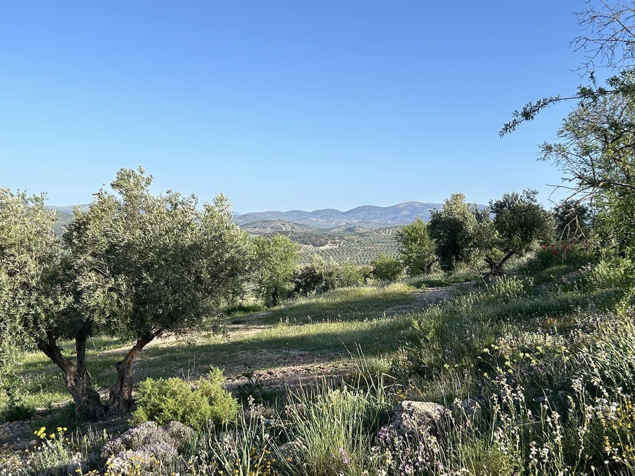 Finca/Country House for sale in Moclin with pool garage - € 5,000,000 (Ref: 8257978)