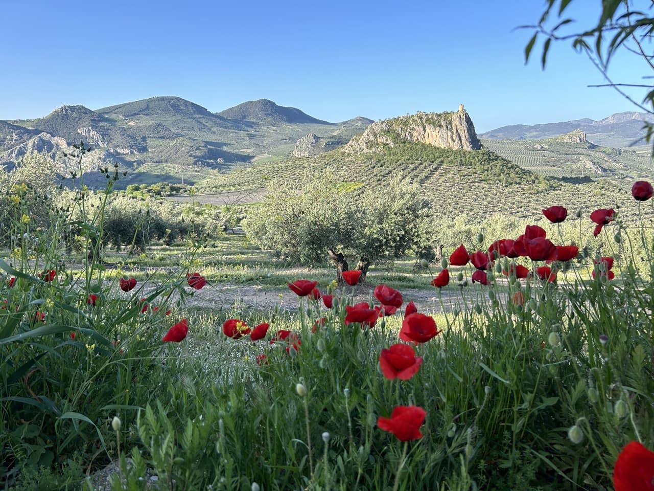 Finca/Country House for sale in Moclin with pool garage - € 5,000,000 (Ref: 8257978)