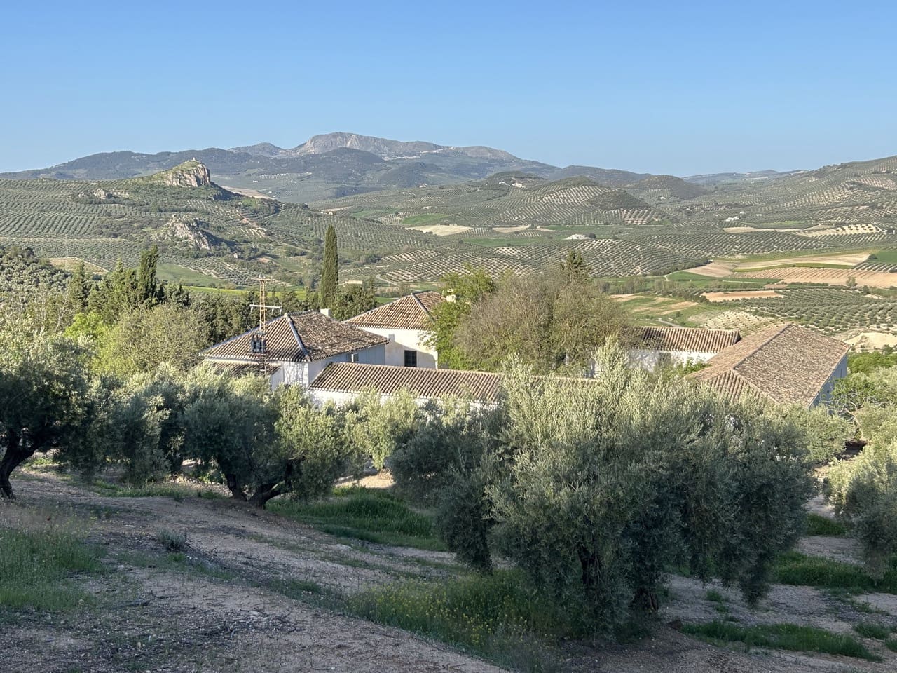 Finca/Country House for sale in Moclin with pool garage - € 5,000,000 (Ref: 8257978)