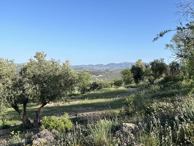 Quinta/Casa Rural para venda em Moclín com piscina garagem - 5 000 000 € (Ref: 8257978)