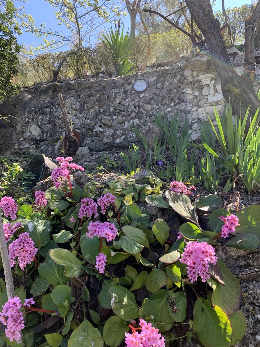 5 soverom Finca/Herregård til salgs i Moclin med svømmebasseng garasje - € 400 000 (Ref: 8260215)