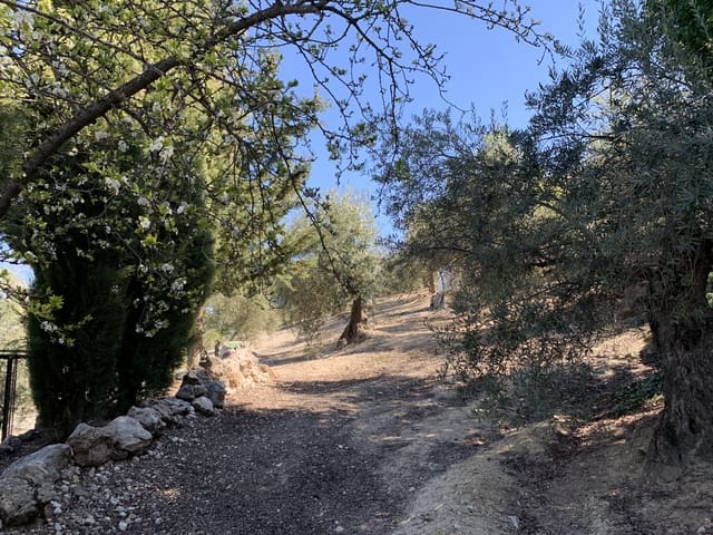 5 camera da letto Finca/Casa di Campagna in vendita in Moclín con piscina garage - 400.000 € (Rif: 8260215)