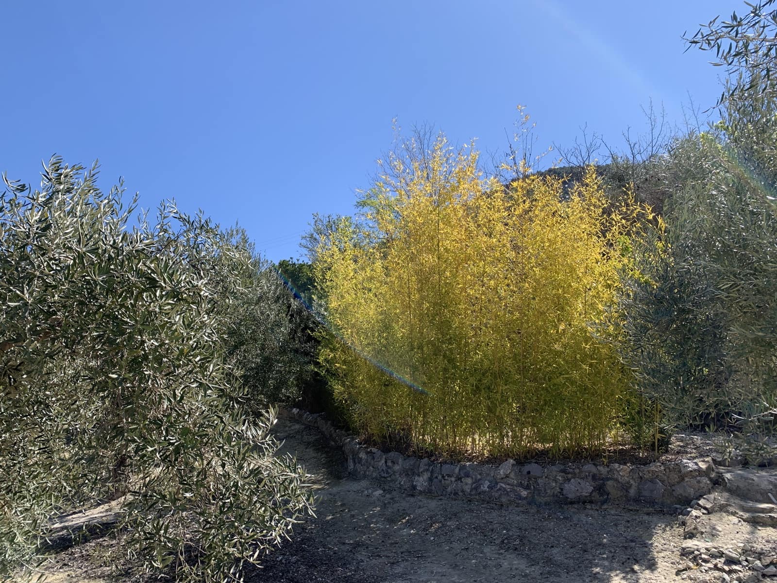 5 soverom Finca/Herregård til salgs i Moclin med svømmebasseng garasje - € 400 000 (Ref: 8260215)