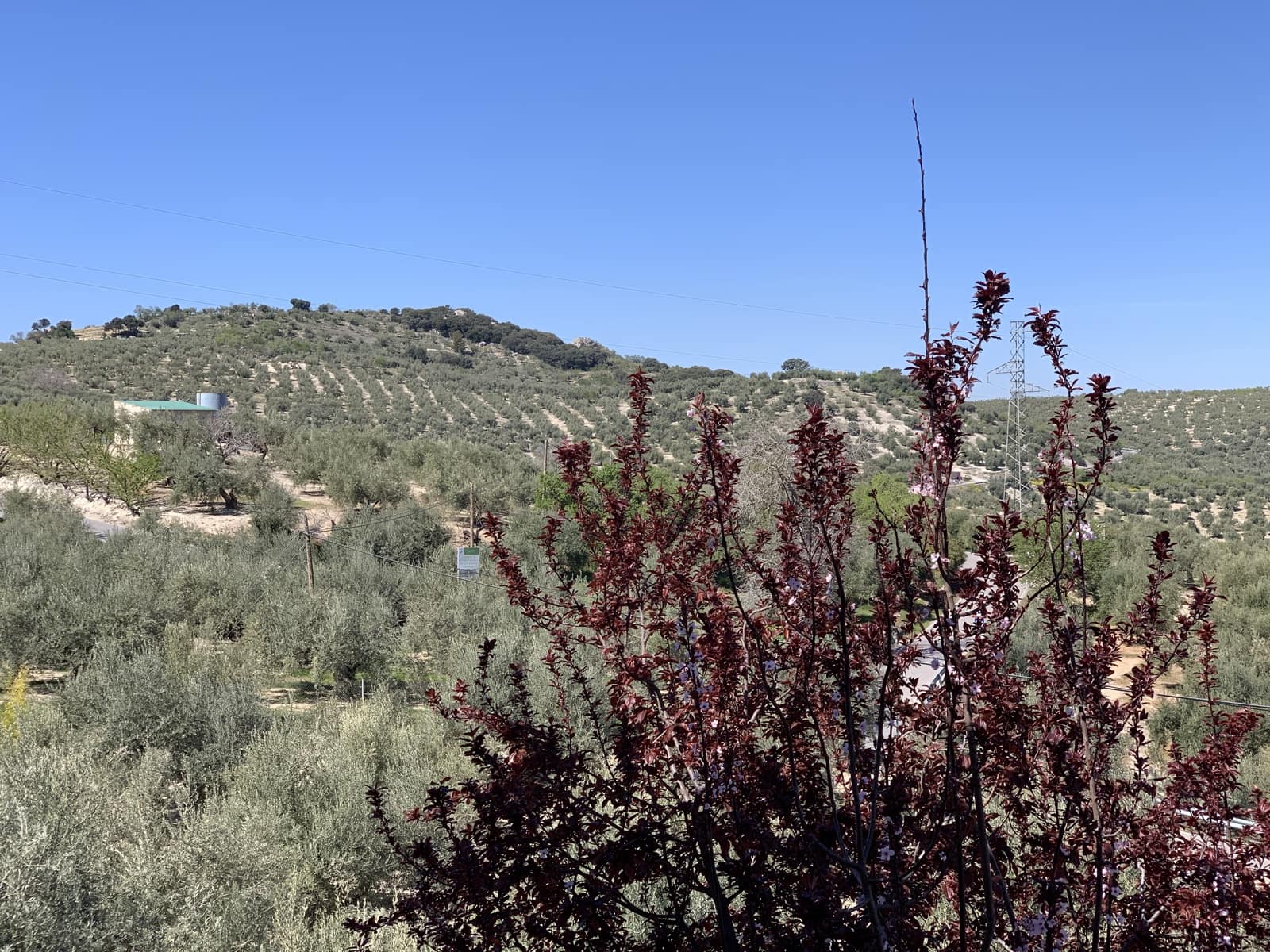 5 soverom Finca/Herregård til salgs i Moclin med svømmebasseng garasje - € 400 000 (Ref: 8260215)