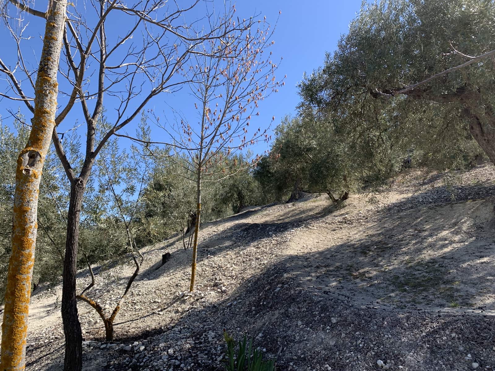 5 soverom Finca/Herregård til salgs i Moclin med svømmebasseng garasje - € 400 000 (Ref: 8260215)