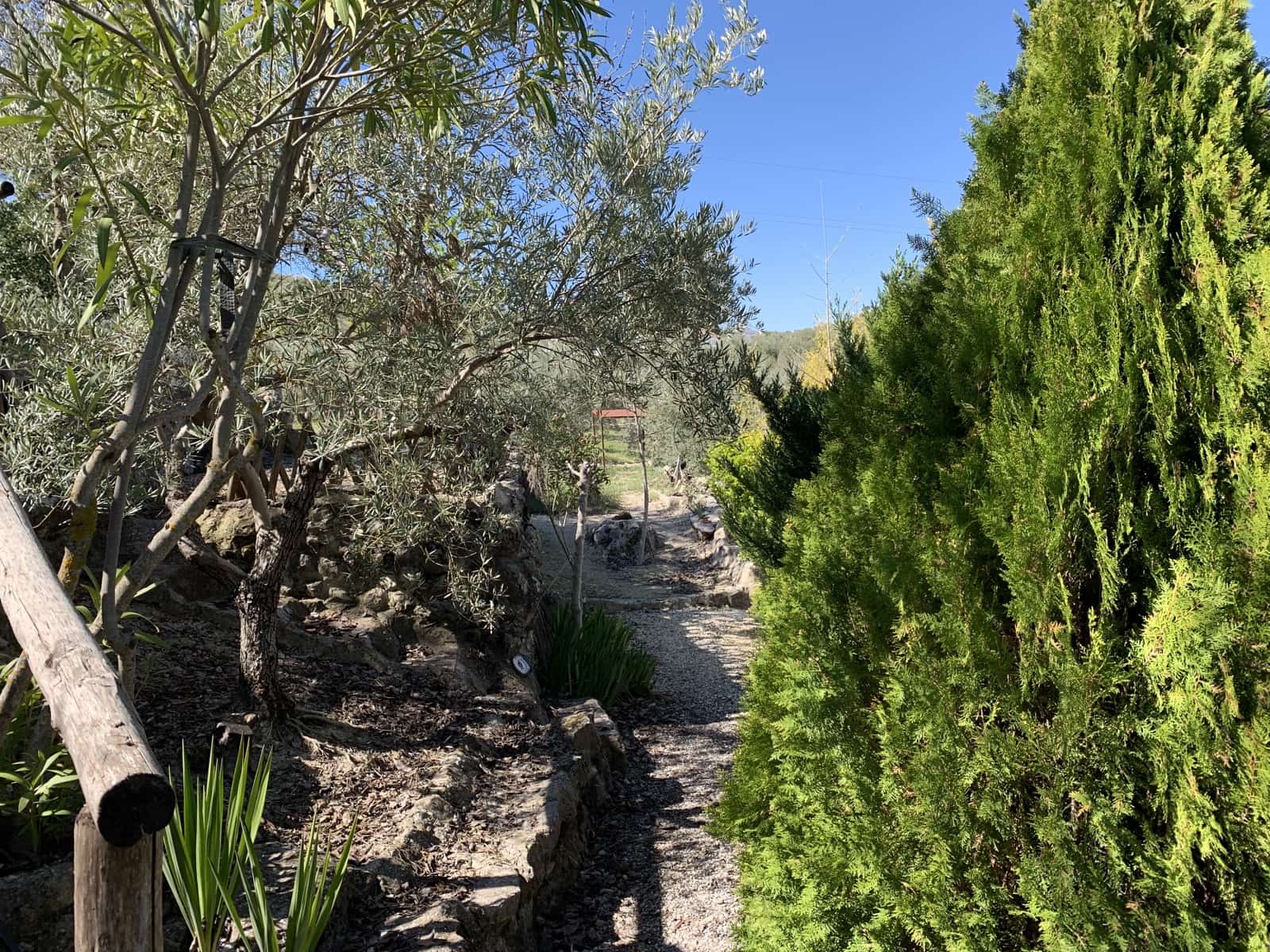 5 soverom Finca/Herregård til salgs i Moclin med svømmebasseng garasje - € 400 000 (Ref: 8260215)