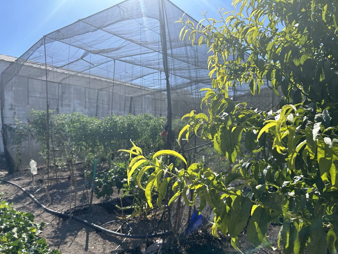 4 soveværelse Byhus til salg i Campotejar med garage - € 165.000 (Ref: 8478790)