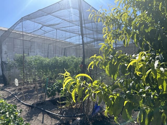 4 soveværelse Byhus til salg i Campotéjar med garage - € 165.000 (Ref: 8478790)