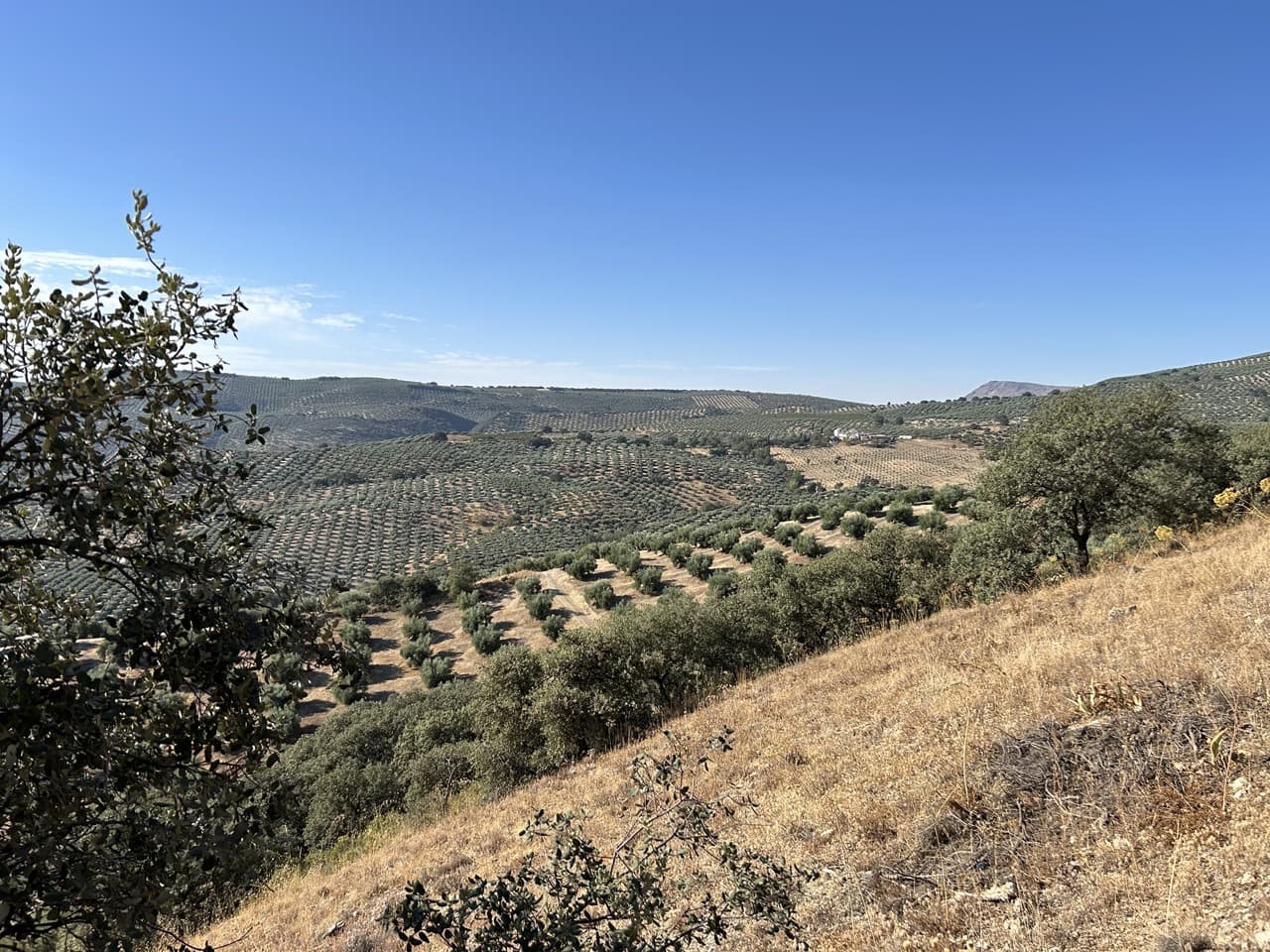 3 soverom Villa til salgs i Alcala la Real med svømmebasseng garasje - € 315 000 (Ref: 8481364)