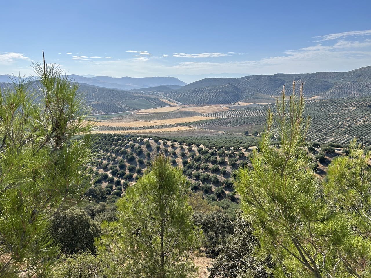 3 soverom Villa til salgs i Alcala la Real med svømmebasseng garasje - € 315 000 (Ref: 8481364)