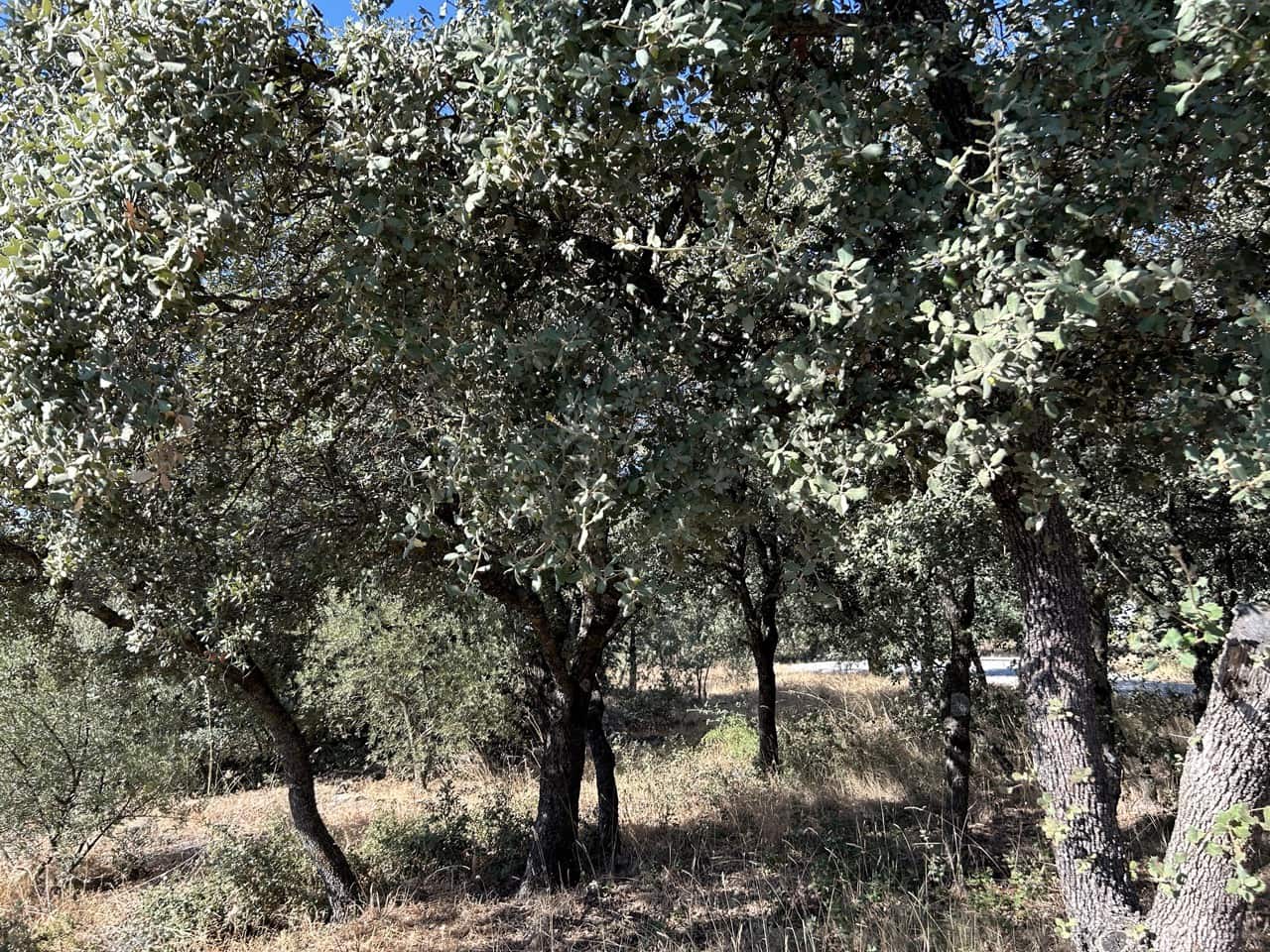 3 soverom Villa til salgs i Alcala la Real med svømmebasseng garasje - € 315 000 (Ref: 8481364)