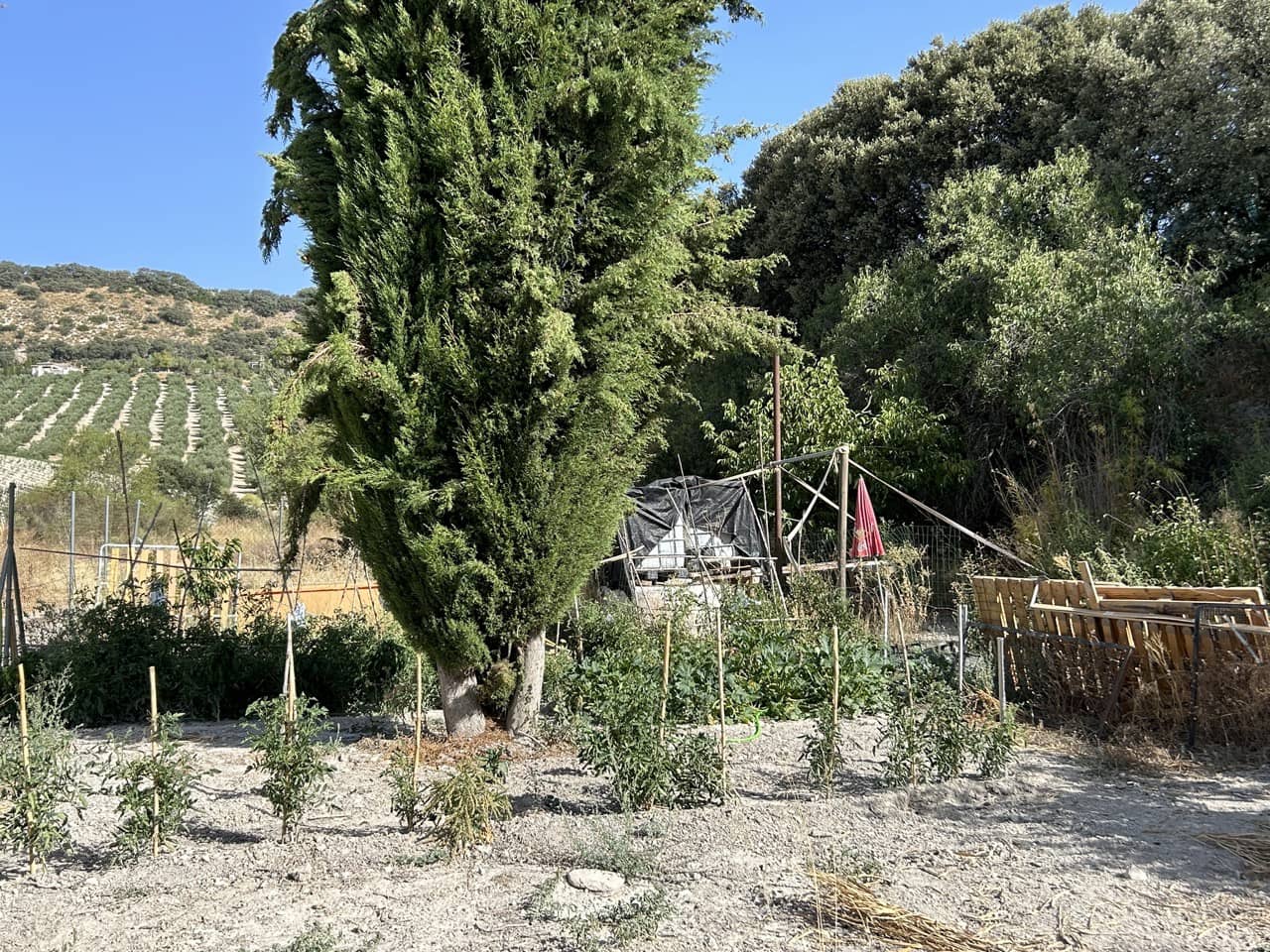 7 soveværelse Finca/Landehus til salg i Montefrio med swimmingpool garage - € 350.000 (Ref: 8493651)