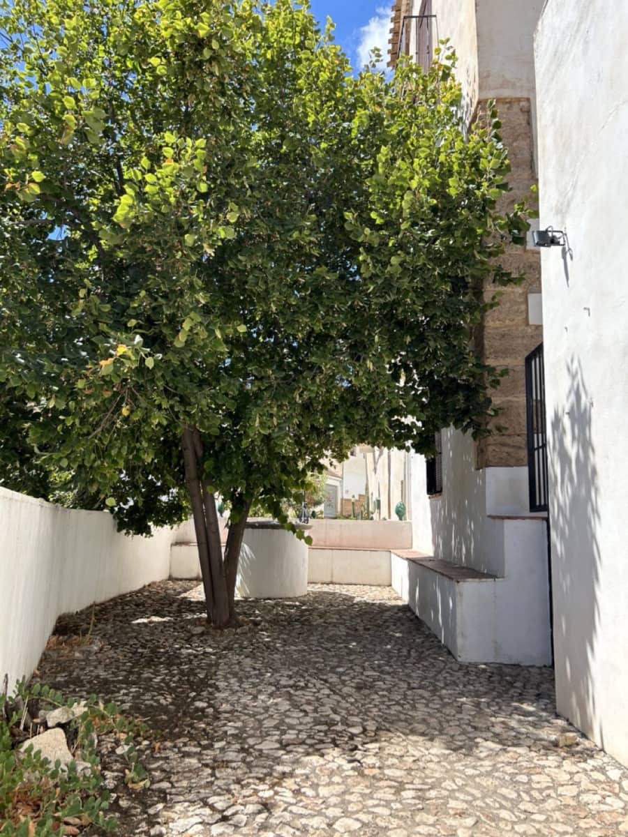 6 camera da letto Affittacamere/B & B in vendita in Moclin con piscina garage - 650.000 € (Rif: 8527329)