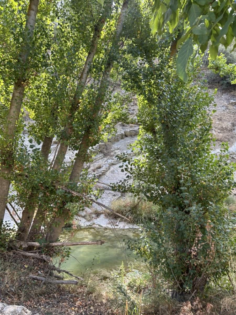 9 soveværelse Finca/Landehus til salg i Montefrio med swimmingpool garage - € 600.000 (Ref: 8537283)