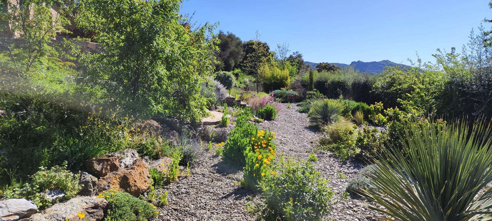 4 soveværelse Finca/Landehus til salg i Portugos med garage - € 575.000 (Ref: 8660854)