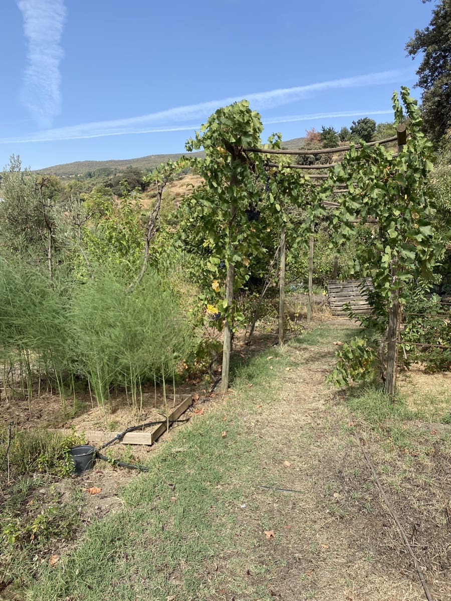 4 soveværelse Finca/Landehus til salg i Portugos med garage - € 575.000 (Ref: 8660854)