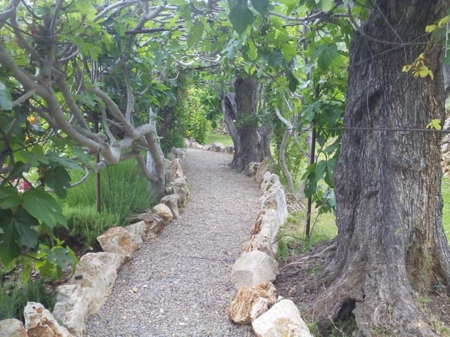 5 sypialnia Finka/Dom wiejski na sprzedaż w El Pinar z basenem garażem - 850 000 € (Ref: 8660861)