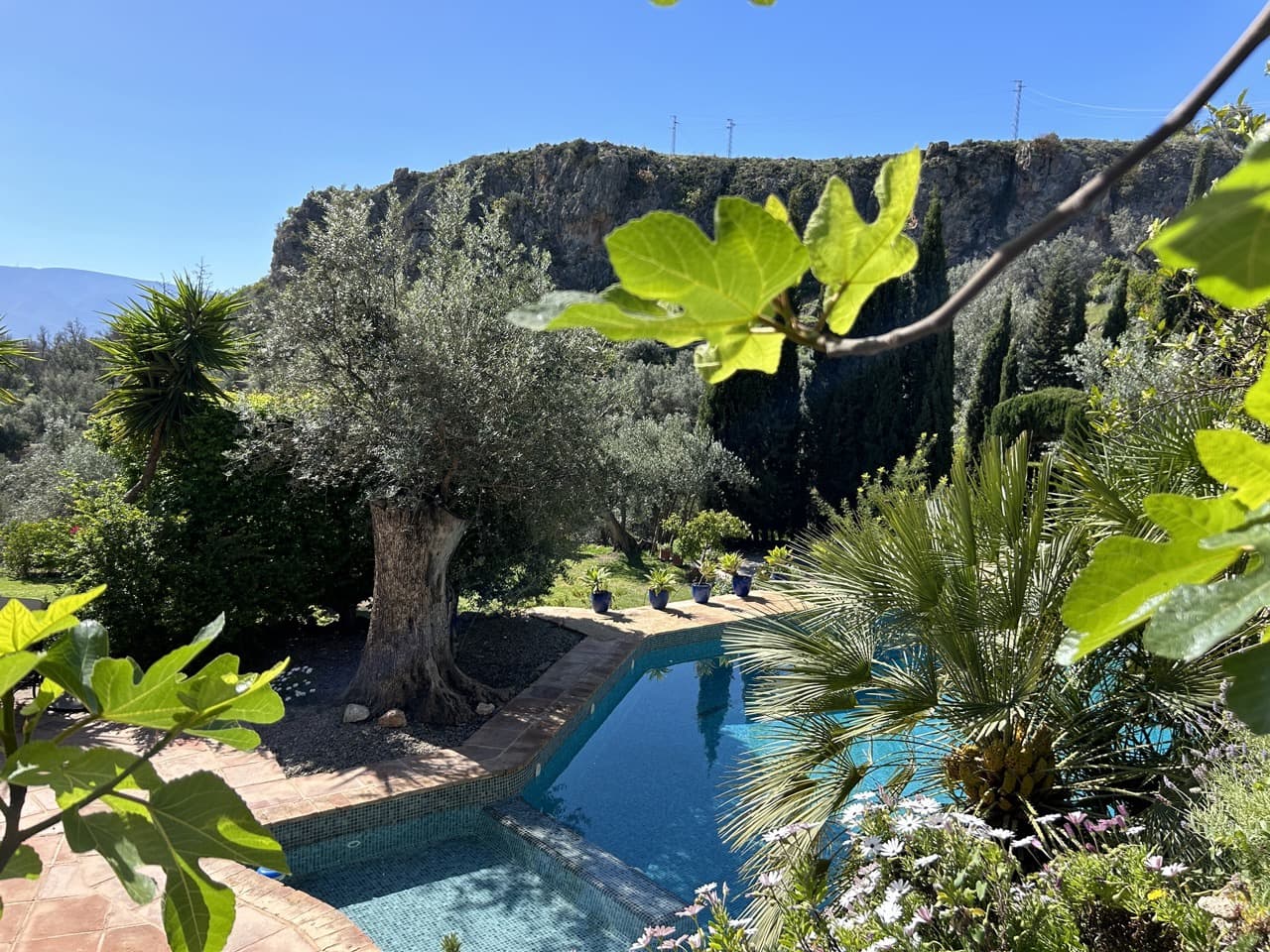 5 soveværelse Finca/Landehus til salg i El Pinar med swimmingpool garage - € 850.000 (Ref: 8660861)