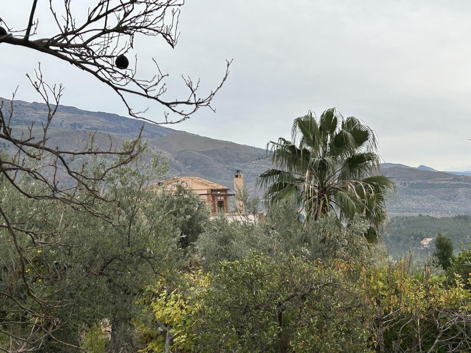 5 soveværelse Finca/Landehus til salg i El Pinar med swimmingpool garage - € 850.000 (Ref: 8660861)