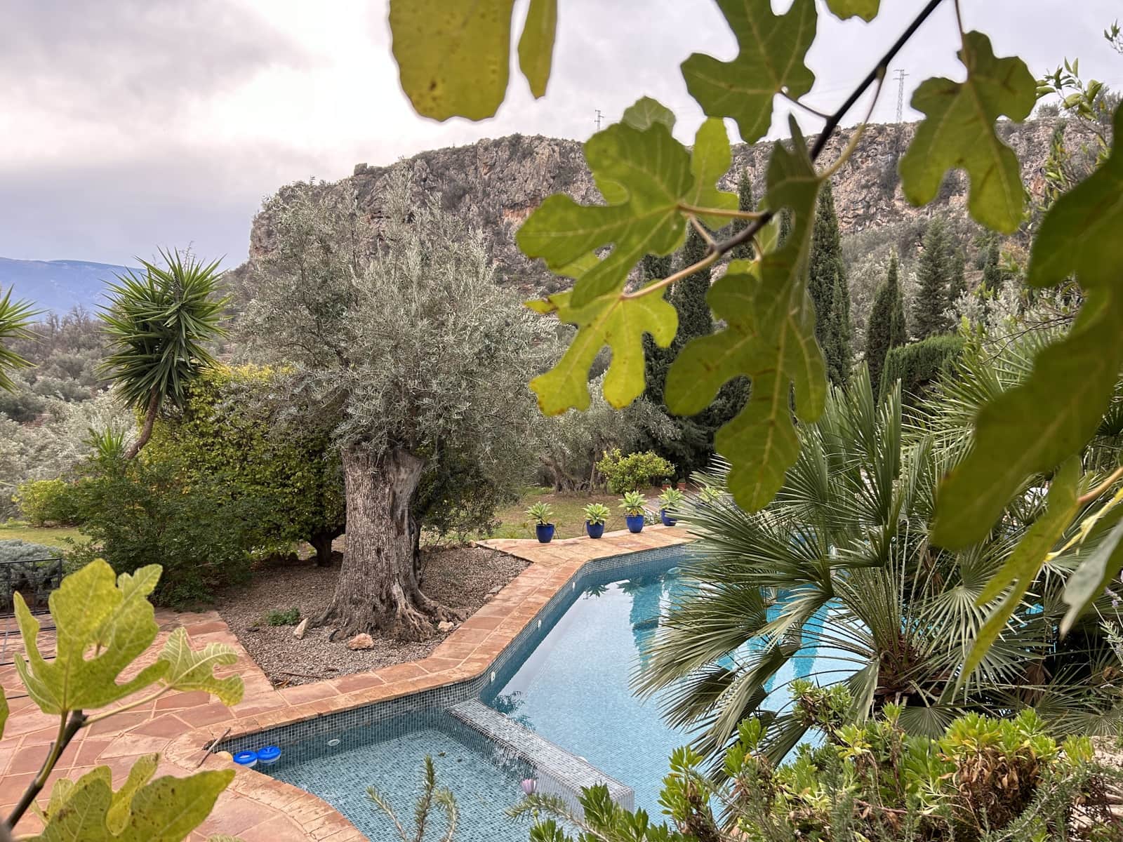 5 soveværelse Finca/Landehus til salg i El Pinar med swimmingpool garage - € 850.000 (Ref: 8660861)