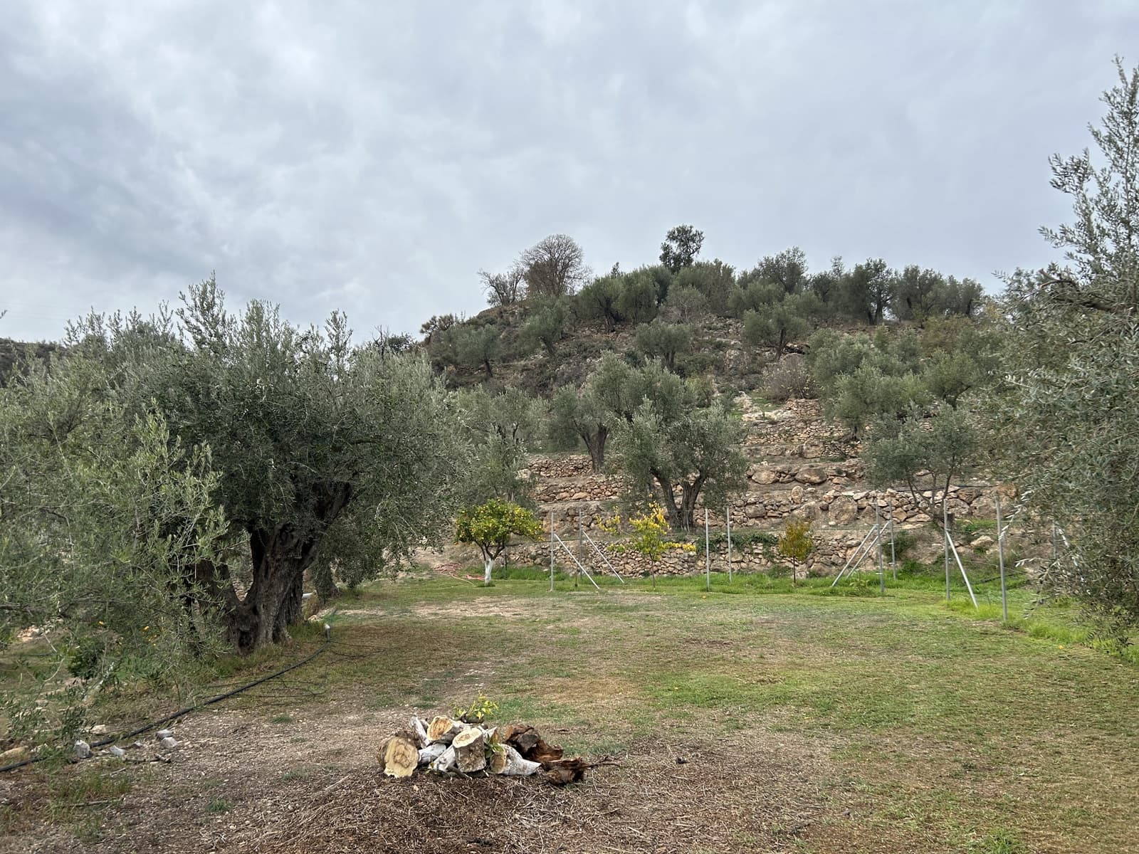 5 soveværelse Finca/Landehus til salg i El Pinar med swimmingpool garage - € 850.000 (Ref: 8660861)