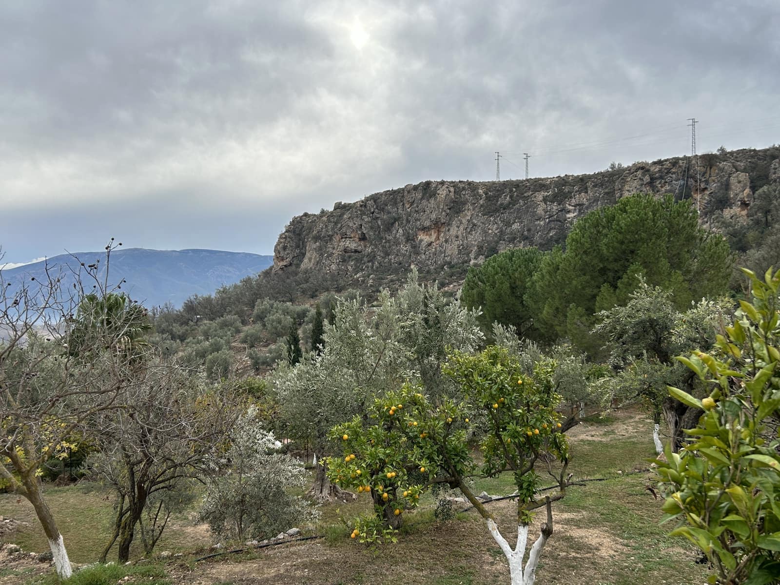 5 soveværelse Finca/Landehus til salg i El Pinar med swimmingpool garage - € 850.000 (Ref: 8660861)