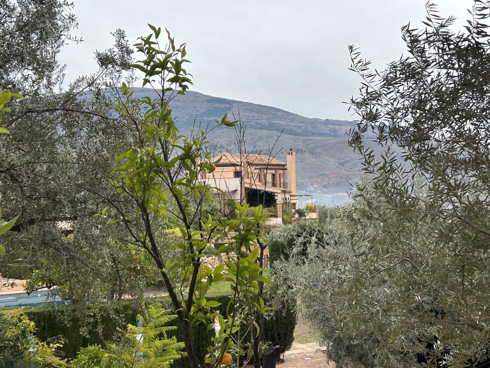 5 soveværelse Finca/Landehus til salg i El Pinar med swimmingpool garage - € 850.000 (Ref: 8660861)