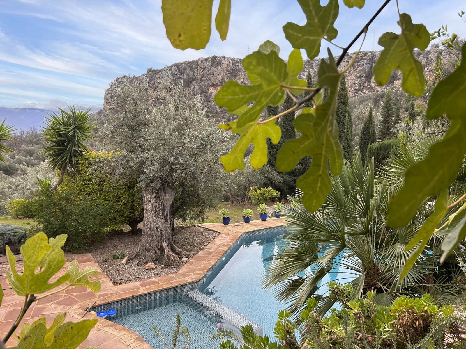 5 soveværelse Finca/Landehus til salg i El Pinar med swimmingpool garage - € 850.000 (Ref: 8660861)