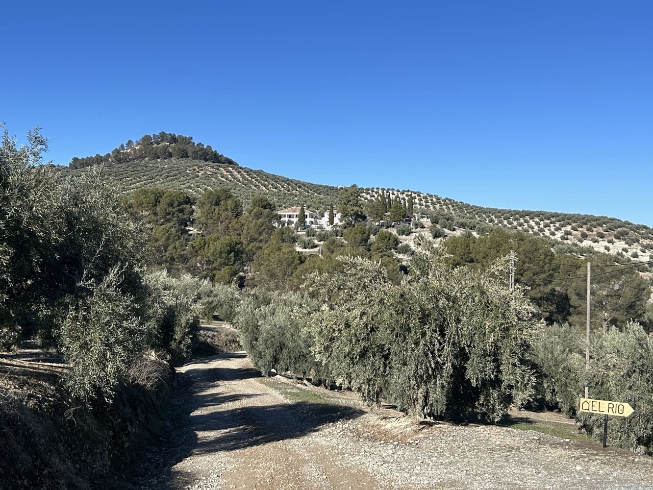 14 soveværelse Finca/Landehus til salg i Alcaudete med swimmingpool garage - € 1.250.000 (Ref: 8738362)